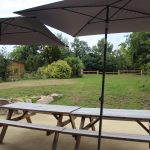 Vue du jardin arrière du gîte 15 personnes à Rennes, avec pelouse, salon de jardin et haie, idéal pour se détendre au Domaine de Beauregard (35)